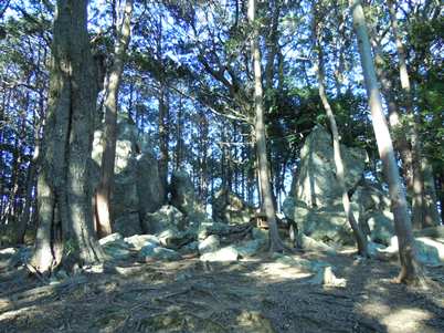 パワースポット天白磐座遺跡ヨコ