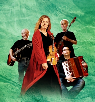 アルタン　アイルランド　フィドル